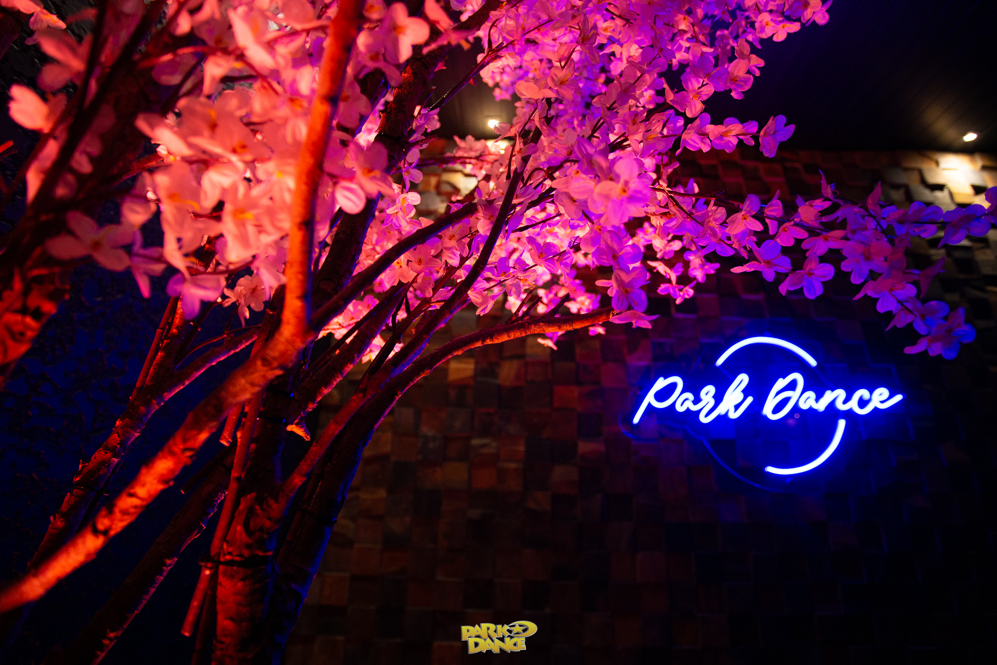 Foto da Park Dance